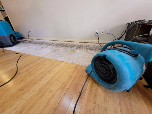 Professional Structural Drying technician working in Walnut, IL